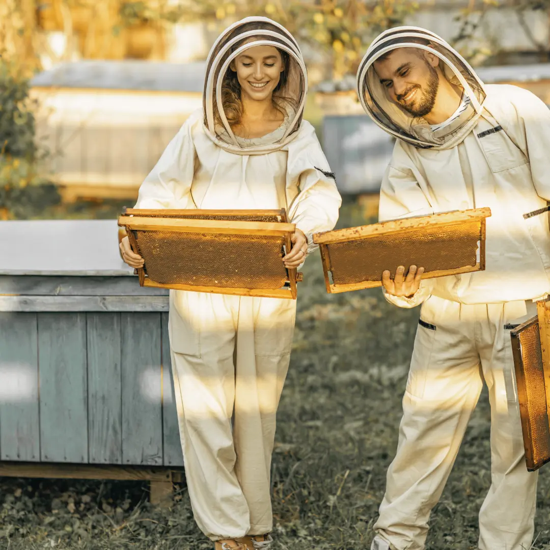 Visiting a Honey Farm